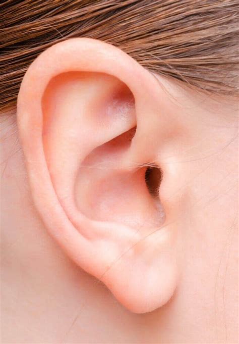 8 Interesting Facts about Human Ears