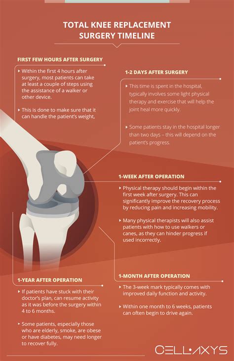 Knee Replacement Recovery Time - Cellaxys