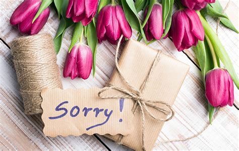 Flowers: The Best Way to Say 'Sorry' - zFlowers.com Blog