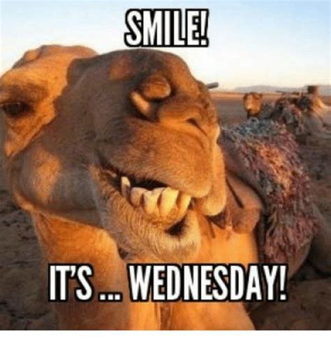 30 Really Funny Wednesday Memes to Get You Through The Week - SayingImages.com | Hump day quotes ...