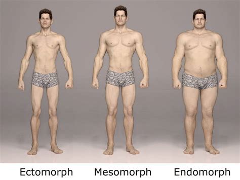 Ectomorph Body Type: Guide to Bodybuilding & Diet - Old School Labs