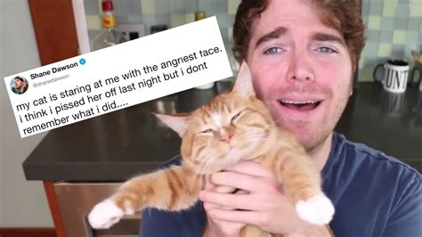 shane dawson RESPONDS to his "cat scandal" - YouTube