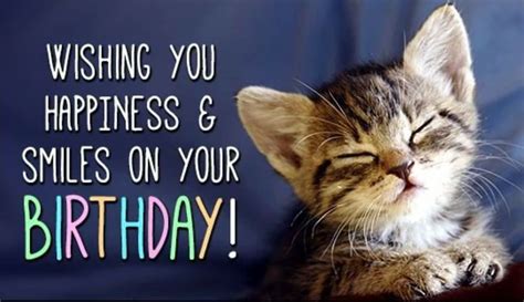 Happy Bday kitten | Happy birthday cat, Happy birthday kitten, Cat birthday