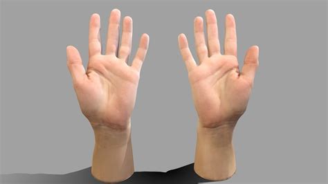 3d Hand Model Download