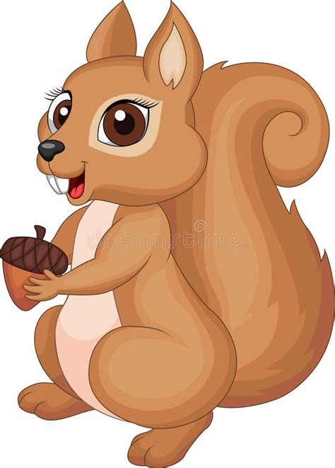 Cute squirel cartoon stock vector. Illustration of caudate - 30204693 | Cute squirrel, Squirrel ...