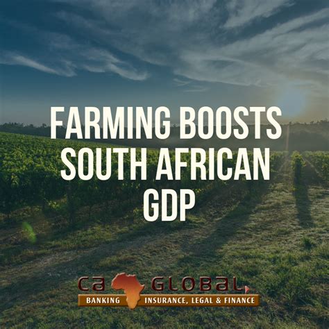 Agriculture boosts South African GDP - CA GLOBAL FINANCE