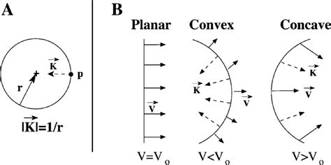 (A) Definition of the curvature vector, illustrated for a circle. The... | Download Scientific ...