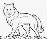 Wolf Coloring Pages  ColoringBay sketch template