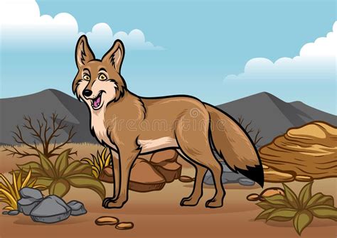 Coyotes Stock Illustrations – 161 Coyotes Stock Illustrations, Vectors & Clipart - Dreamstime