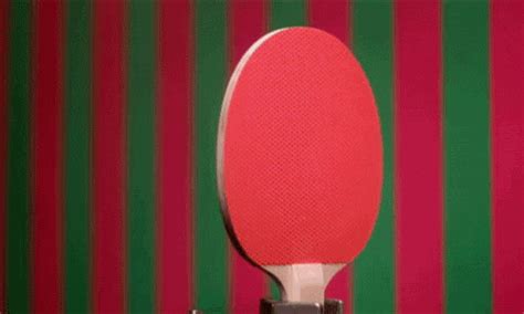 ping pong ball gifs | WiffleGif