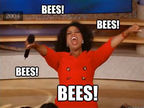 BEes! Bees! Bees! Bees! - oprah you get a car - quickmeme