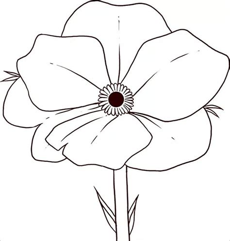 21 Poppy Coloring Pages Free Printable Word, PDF, PNG, JPEG, EPS Format ...