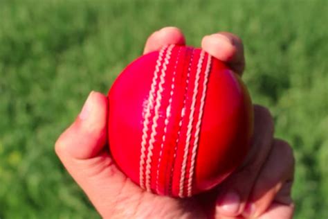 The Ultimate Guide to Bowling a Googly in Cricket - Tips and Techniques