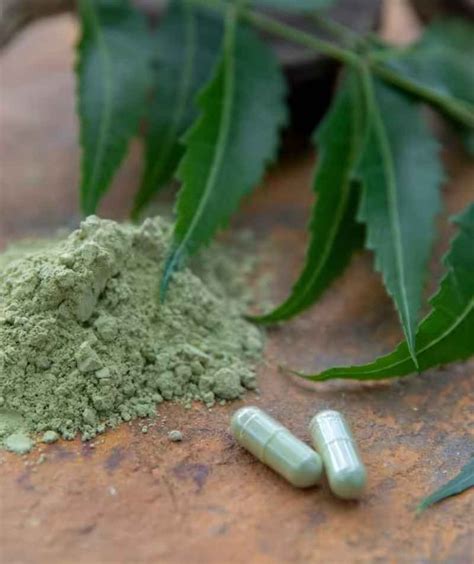 Organic Neem Capsules - Public Relations Media Kit - Press Hook