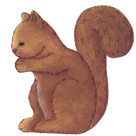 eurasian red squirrel - Clip Art Library