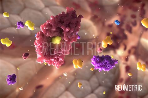 Bacterial Vaginosis Animation | Geometric Medical