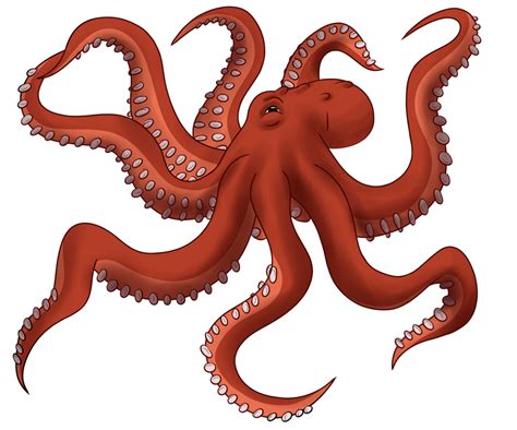 Octopus PNG