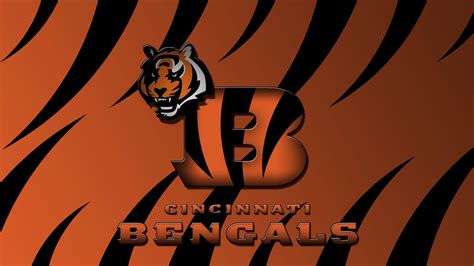 Bengals Wallpapers - Top Free Bengals Backgrounds - WallpaperAccess