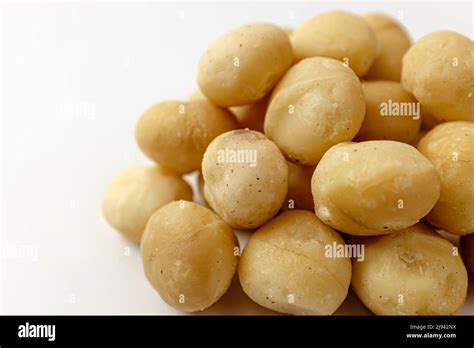 a type of nut. soft and savory nuts. Nuts in a round shape Stock Photo ...