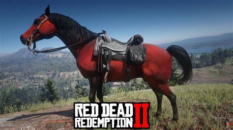 Red Arabian Horse locations - Red Dead Redemption 2 [Story mode] - YouTube