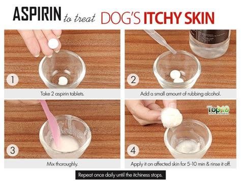 Home Remedies to Deal with Itchy Skin in Dogs | Top 10 Home Remedies