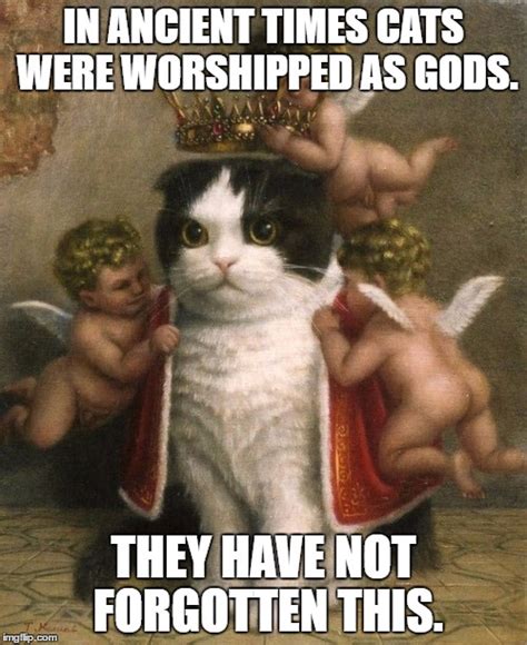 Cat God - Imgflip