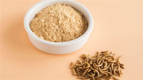 Insect Protein Has Investors Intrigued - The Food Institute