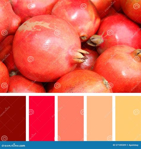 Close Up Of Pomegranate On Market . Color Palette Swatches. Stock Image ...