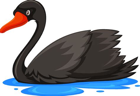 Black swan in cartoon style 8190853 Vector Art at Vecteezy