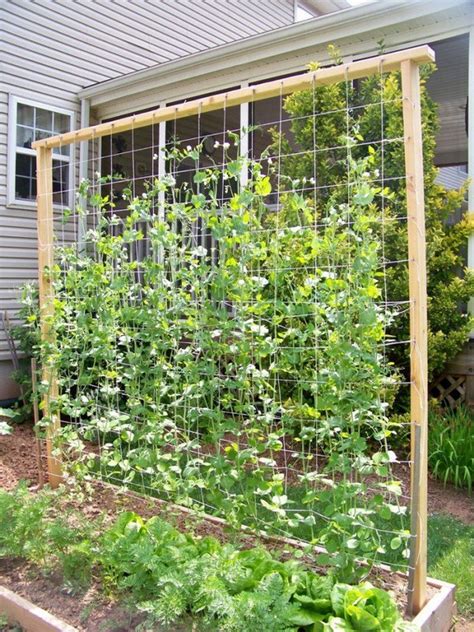 25 Eye-Catching DIY Trellis Ideas For Your Garden - The ART in LIFE