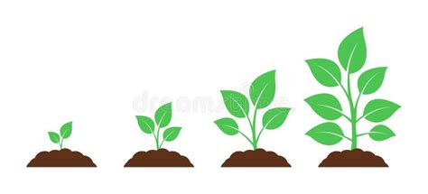 Seedling Icon. Plant Growth. Sprout from the Ground Stock Illustration ...