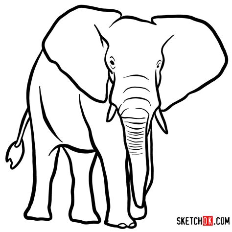 How to draw an Elephant front view | Wild Animals - Sketchok easy drawing guides