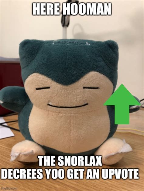 snorlax Memes & GIFs - Imgflip