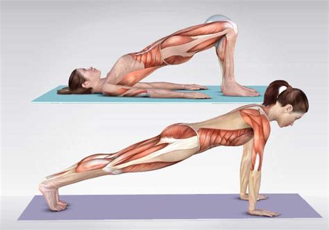 Fitness Exercise and Workout 3D Illustrations