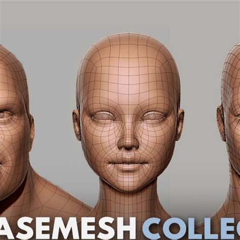 ArtStation - BaseMesh Anatomy Collection ( Male, Female, Muscular man ) - Topology + UV Map ...