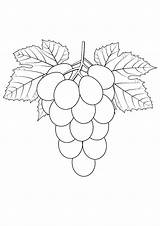 Grapes coloring Pages To Download And Print For Free sketch template