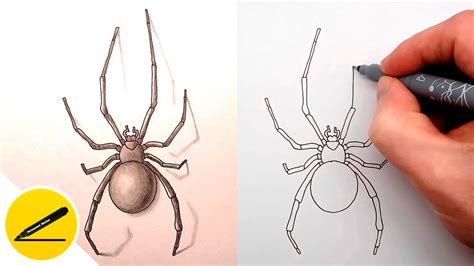 How to Draw a Spider Step by Step - Drawing Tutorial Video - YouTube