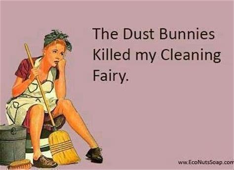 funny cleaning quotes - Dump A Day