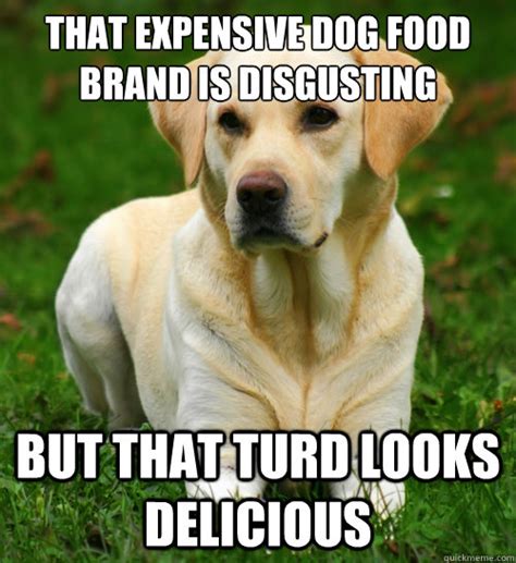 that expensive dog food brand is disgusting but that turd looks delicious - Dog Logic - quickmeme