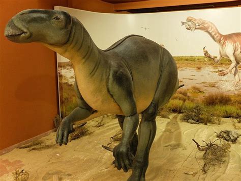 10 Lesser-Known Facts About Iguanodon