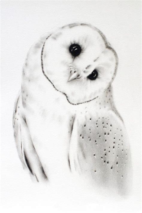 ORIGINAL Barn Owl Charcoal Drawing 11x14 by JaclynsStudio | Barn owl art, Owls drawing, Owl sketch