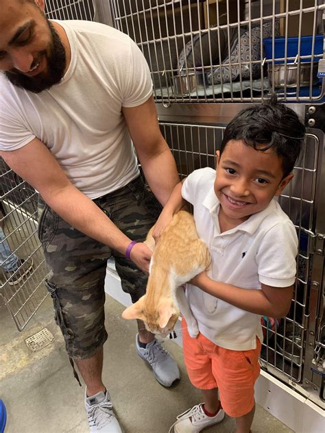 Tyler Perry @petsmart Smyrna 6/16/19 | Smyrna, Tyler perry, Perry