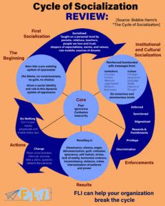 The Cycle of Socialization | Future Leaders Incubator