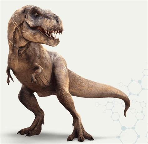 Fundacion Dinosaurios Cyl: La historia de los dinosaurios se reescribe