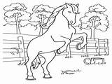 Free Printable Horse Coloring Pages For Kids sketch template