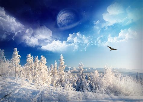 winter wonderland - Fantasy Photo (33122307) - Fanpop