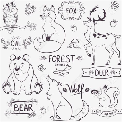 Forest Animals Drawing at GetDrawings | Free download