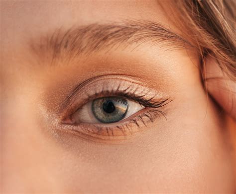 Womans Brown Eyes in Close Up Photography · Free Stock Photo