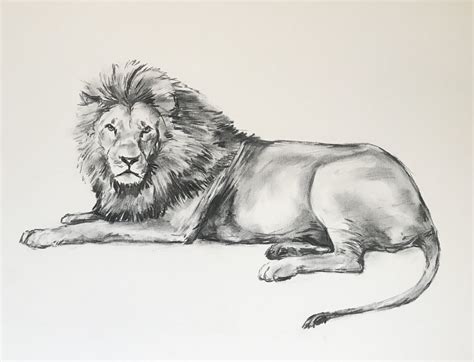 Sleeping Lion Drawing at PaintingValley.com | Explore collection of ...