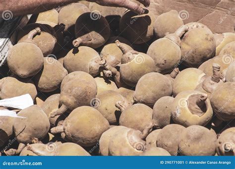 Zapote Fruit for Sale Supermarket Stock Image - Image of orange ...